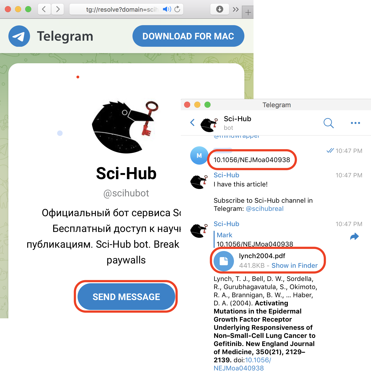 Download Scientific Paper with Telegram